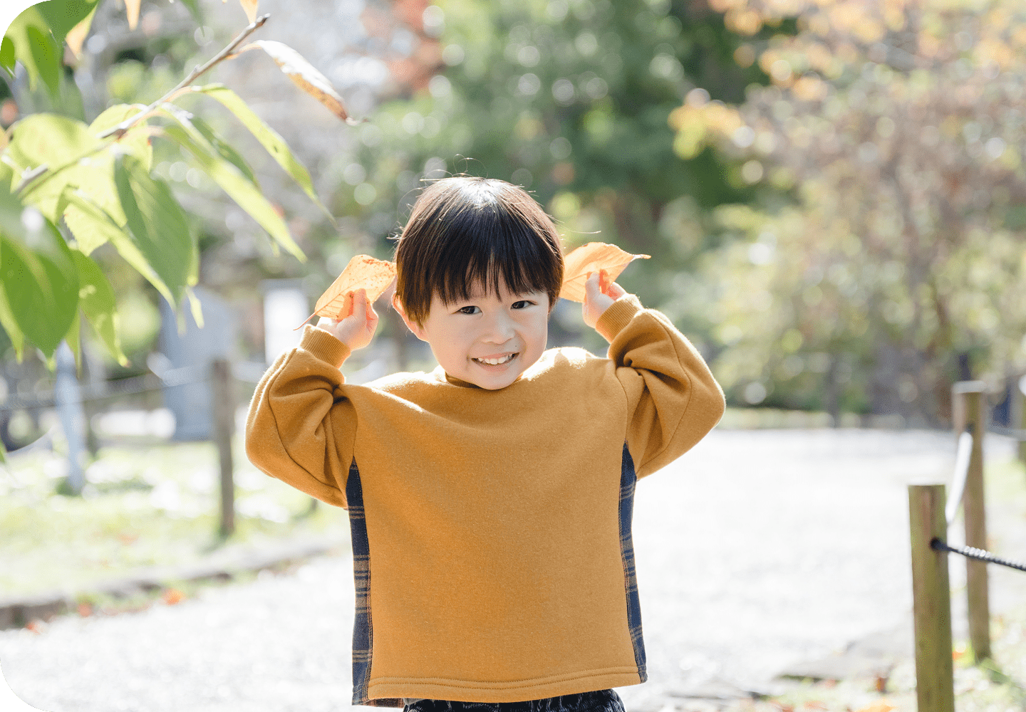 通常撮影ミニ